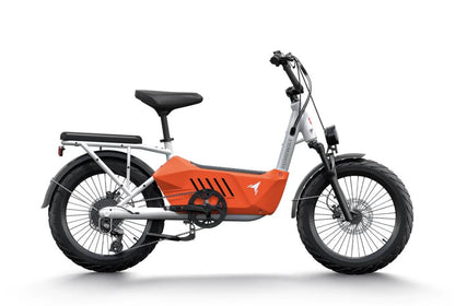 C3 - Ebike