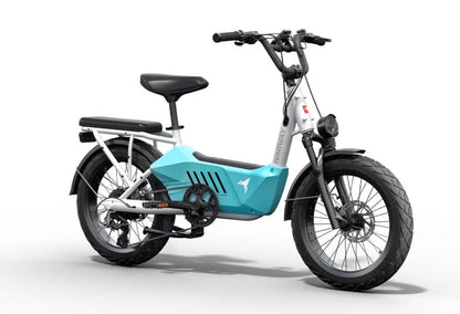 C3 - Ebike