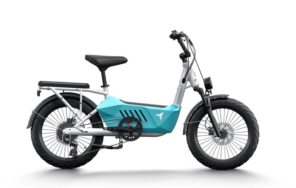 C3 - Ebike