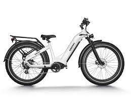 Zebra - Premium All Terrain Electric Fat Bike