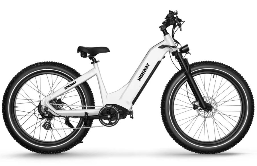 Zebra Step-Thru E-Bike